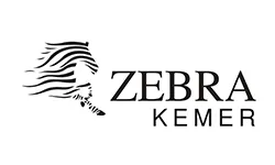 Zebra Kemer